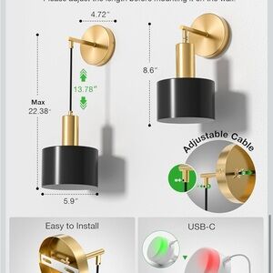 Elegant Black and Gold Wall Light Fixture